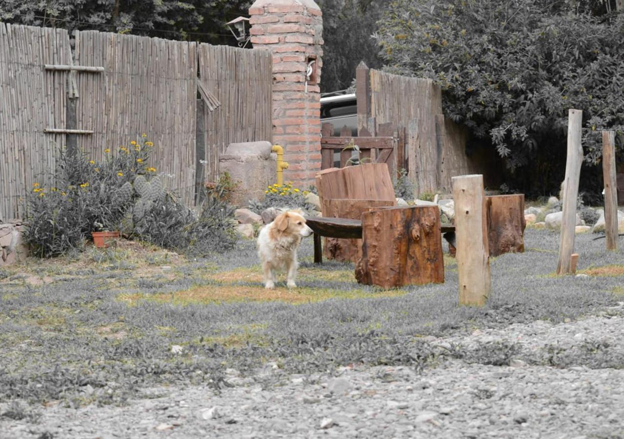 Hostal La Albahaca Tilcara Kültér fotó