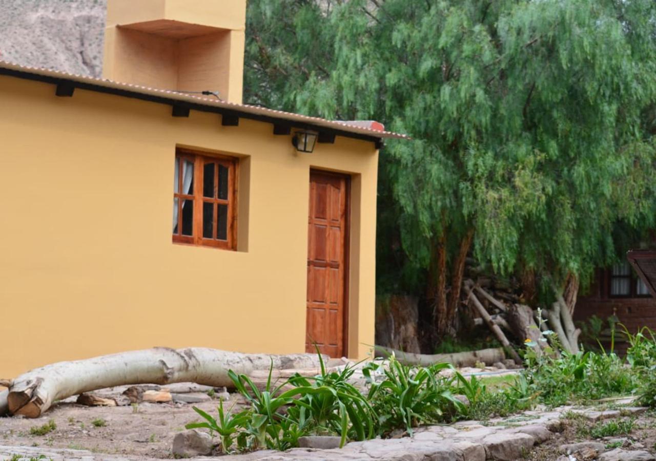 Hostal La Albahaca Tilcara Kültér fotó